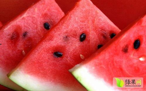 娱乐吃瓜菌的视频怎么拍